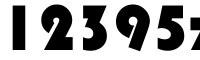 12395zj bags